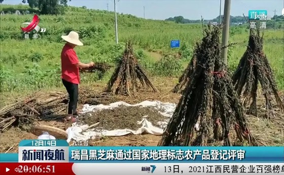 喜訊！“瑞昌黑芝麻”通過(guò)國(guó)家地理標(biāo)志農(nóng)產(chǎn)品登記評(píng)審！